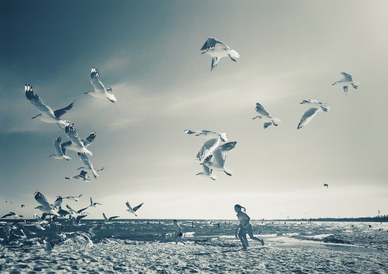 32551242-80ED-454B-BBB9-2B8E322DD316